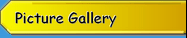 Platinumbob Picture Galleries